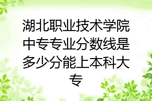 湖北职业技术学院中专专业分数线是多少分能上本科大专