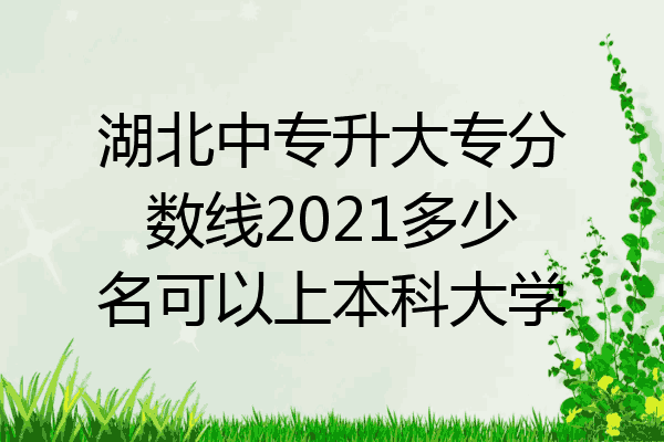 湖北中专升大专分数线2021多少名可以上本科大学