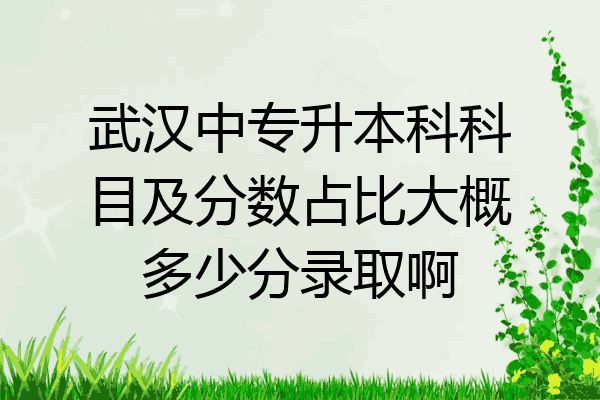 武汉中专升本科科目及分数占比大概多少分录取啊