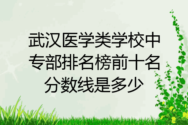 武汉医学类学校中专部排名榜前十名分数线是多少