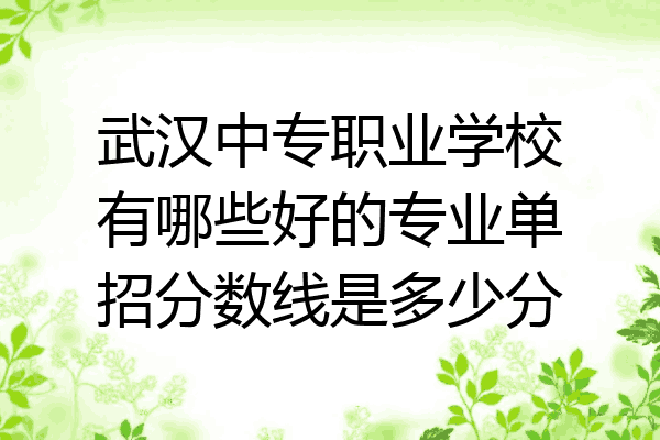 武汉中专职业学校有哪些好的专业单招分数线是多少分