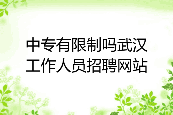 中专有限制吗武汉工作人员招聘网站