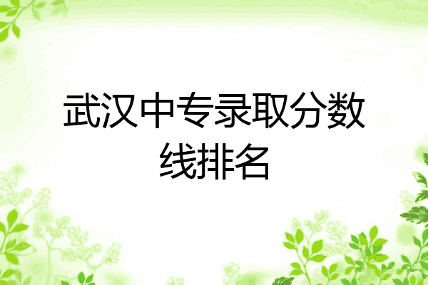 武汉中专录取分数线排名