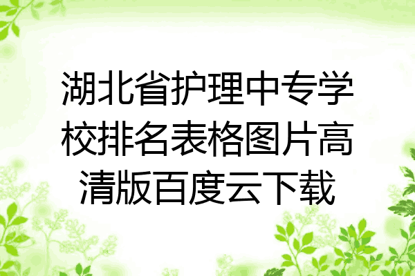 湖北省护理中专学校排名表格图片高清版百度云下载