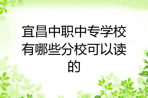 宜昌中职中专学校有哪些分校可以读的