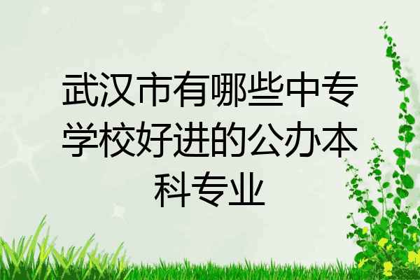 武汉市有哪些中专学校好进的公办本科专业