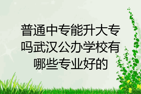 普通中专能升大专吗武汉公办学校有哪些专业好的