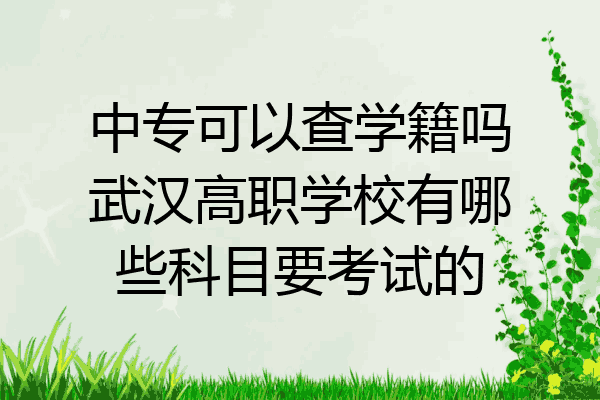 中专可以查学籍吗武汉高职学校有哪些科目要考试的