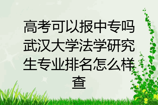 高考可以报中专吗武汉大学法学研究生专业排名怎么样查