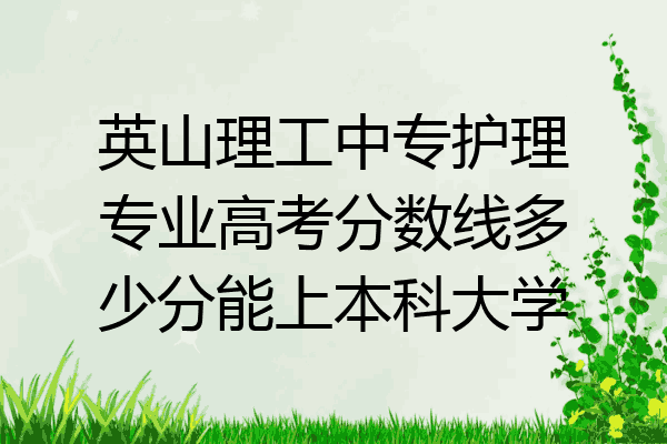 英山理工中专护理专业高考分数线多少分能上本科大学