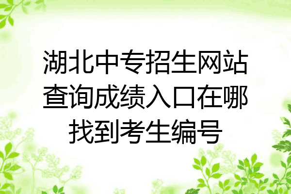 湖北中专招生网站查询成绩入口在哪找到考生编号
