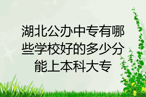 湖北公办中专有哪些学校好的多少分能上本科大专