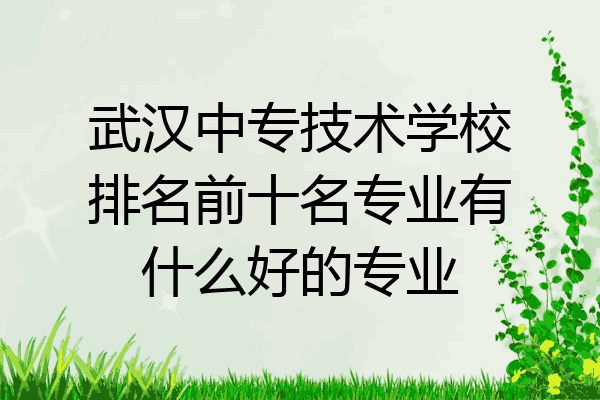 武汉中专技术学校排名前十名专业有什么好的专业