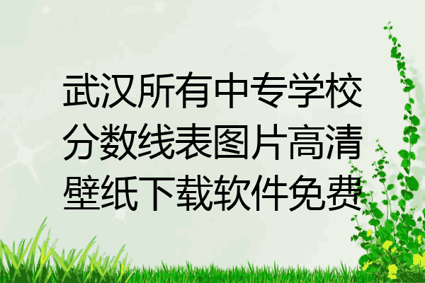 武汉所有中专学校分数线表图片高清壁纸下载软件免费