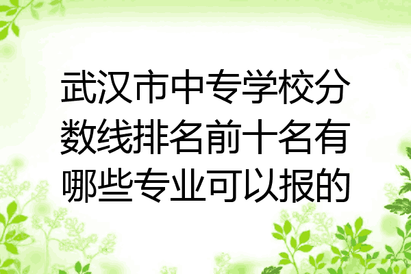 武汉市中专学校分数线排名前十名有哪些专业可以报的