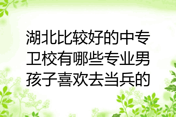 湖北比较好的中专卫校有哪些专业男孩子喜欢去当兵的