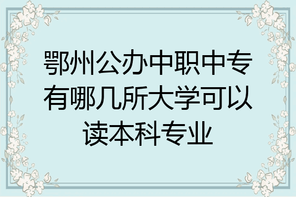 鄂州公办中职中专有哪几所大学可以读本科专业