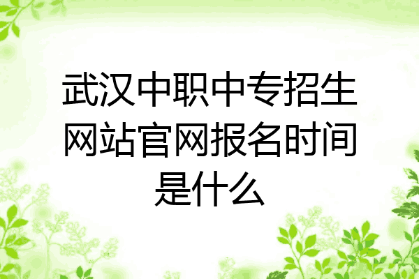 武汉中职中专招生网站官网报名时间是什么