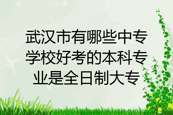 武汉市有哪些中专学校好考的本科专业是全日制大专