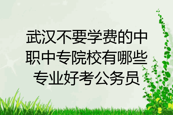 武汉不要学费的中职中专院校有哪些专业好考公务员