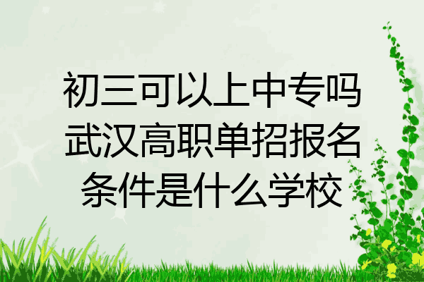 初三可以上中专吗武汉高职单招报名条件是什么学校