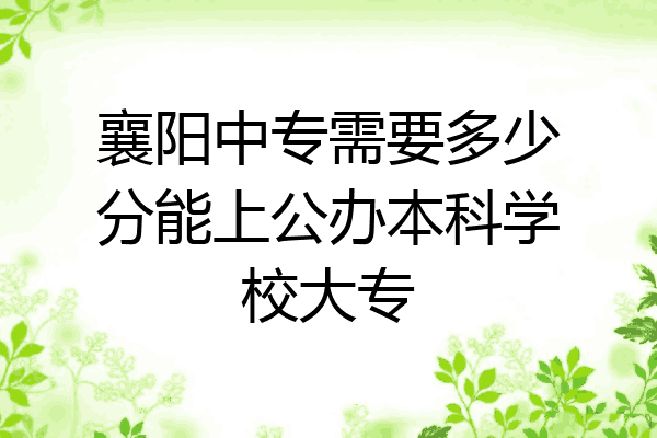 襄阳中专需要多少分能上公办本科学校大专