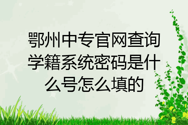 鄂州中专官网查询学籍系统密码是什么号怎么填的