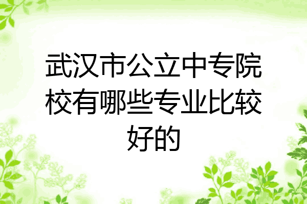 武汉市公立中专院校有哪些专业比较好的