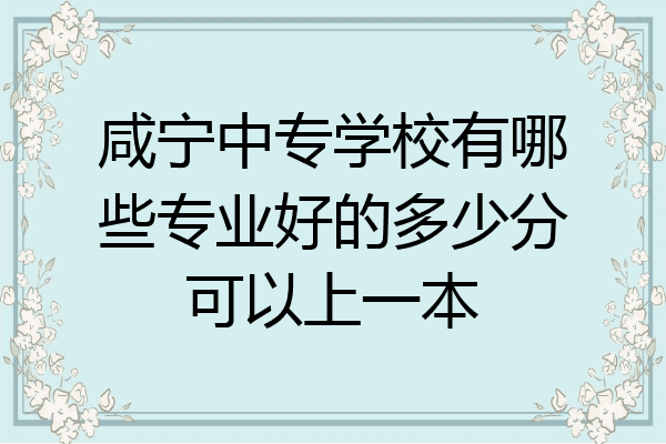 咸宁中专学校有哪些专业好的多少分可以上一本