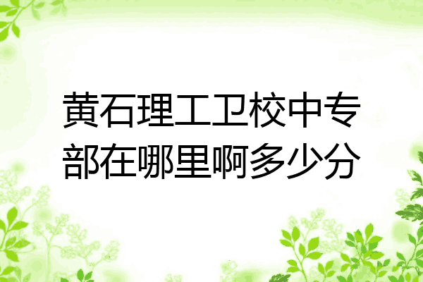 黄石理工卫校中专部在哪里啊多少分
