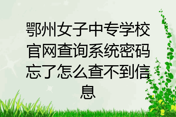 鄂州女子中专学校官网查询系统密码忘了怎么查不到信息