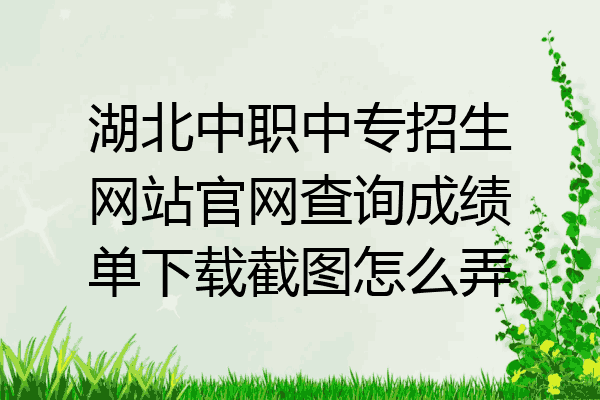 湖北中职中专招生网站官网查询成绩单下载截图怎么弄