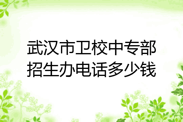 武汉市卫校中专部招生办电话多少钱