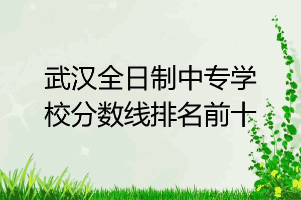 武汉全日制中专学校分数线排名前十