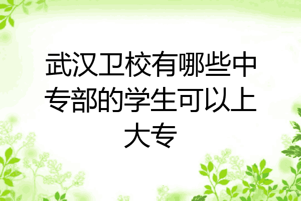 武汉卫校有哪些中专部的学生可以上大专