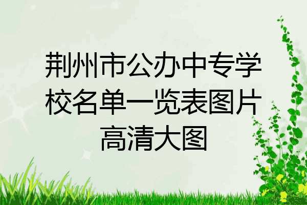 荆州市公办中专学校名单一览表图片高清大图