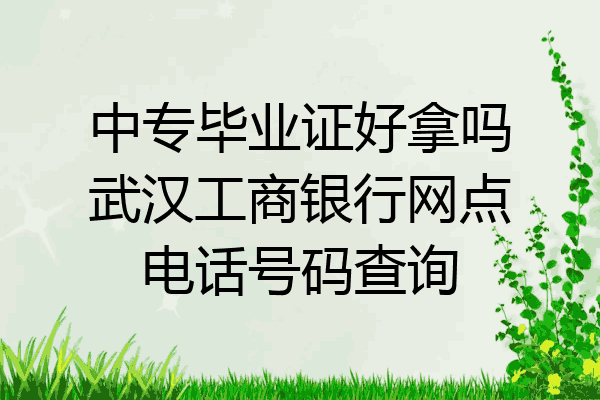 中专毕业证好拿吗武汉工商银行网点电话号码查询
