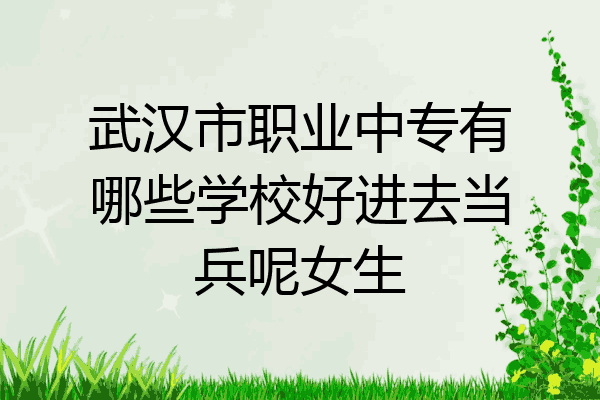 武汉市职业中专有哪些学校好进去当兵呢女生