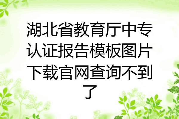 湖北省教育厅中专认证报告模板图片下载官网查询不到了