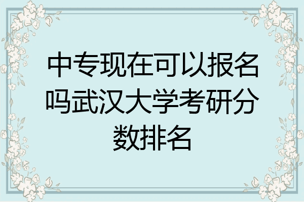 中专现在可以报名吗武汉大学考研分数排名