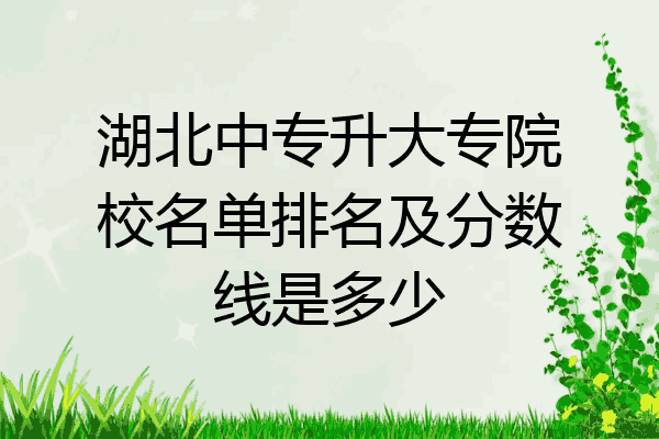 湖北中专升大专院校名单排名及分数线是多少