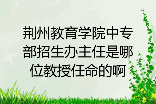 荆州教育学院中专部招生办主任是哪位教授任命的啊