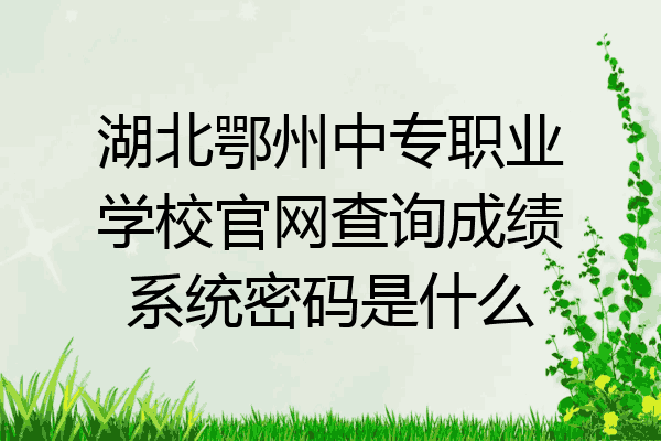 湖北鄂州中专职业学校官网查询成绩系统密码是什么