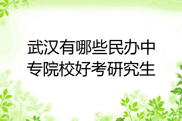 武汉有哪些民办中专院校好考研究生