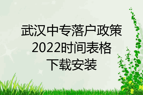 武汉中专落户政策2022时间表格下载安装
