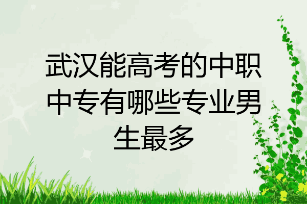 武汉能高考的中职中专有哪些专业男生最多