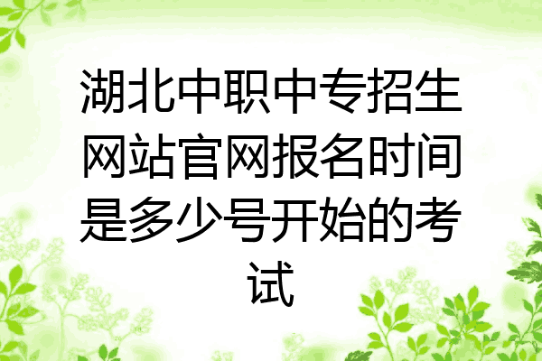 湖北中职中专招生网站官网报名时间是多少号开始的考试