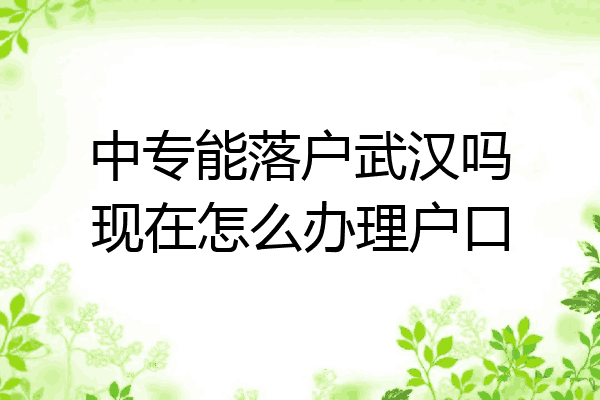 中专能落户武汉吗现在怎么办理户口