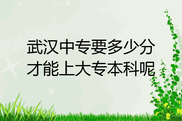 武汉中专要多少分才能上大专本科呢