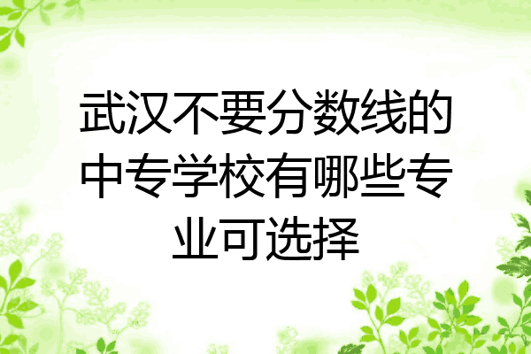 武汉不要分数线的中专学校有哪些专业可选择